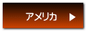 アメリカ