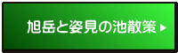 xƎp̒rU