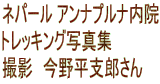 lp[ Aivi@ gbLOʐ^W Be@약xY