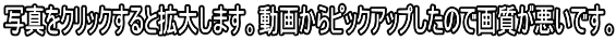 写真をクリックすると拡大します。動画からピックアップしたので画質が悪いです。