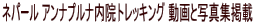 lp[ Aivi@gbLO Ǝʐ^Wf
