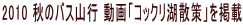 2010 H̃oXRs uRbNΎUvf