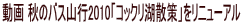  H̃oXRs2010uRbNΎUvj[A