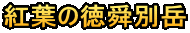 紅葉の徳舜別岳