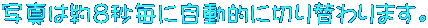 ʐ^͖WbɎIɐ؂ւ܂B